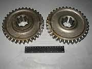 �������� 1� ��������, ������� ���� ���������� ��� 36-1701112