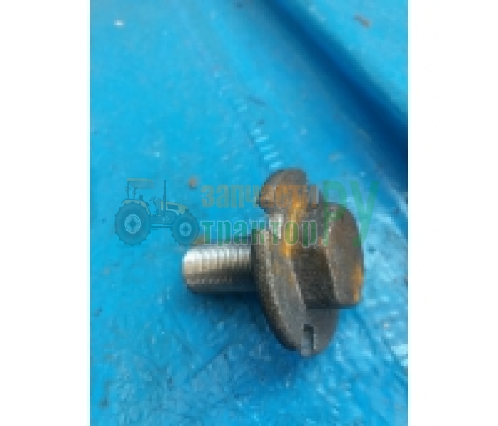 ���� ���������� ���� ��� 36-1701118      | ���������������.��