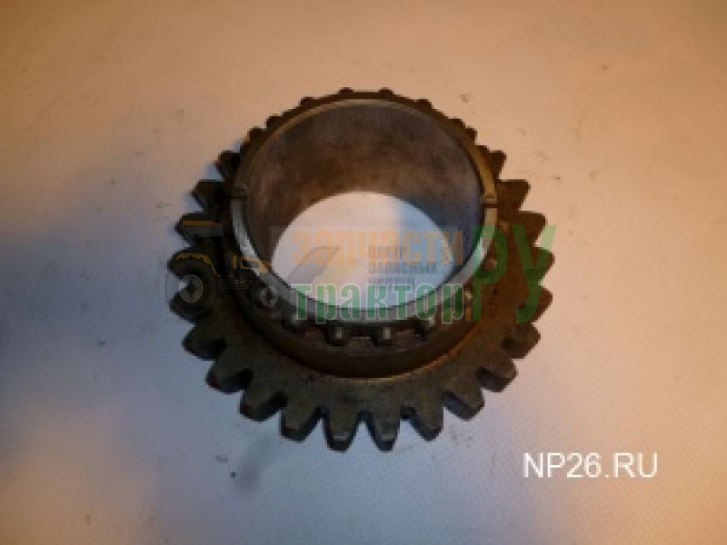 �������� 80�-1701048 z=24 | ���������������.��